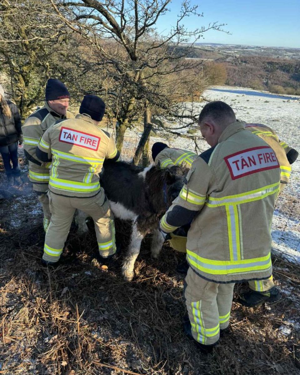 Gwasanaeth Tân ac Achub De Cymru tweet media