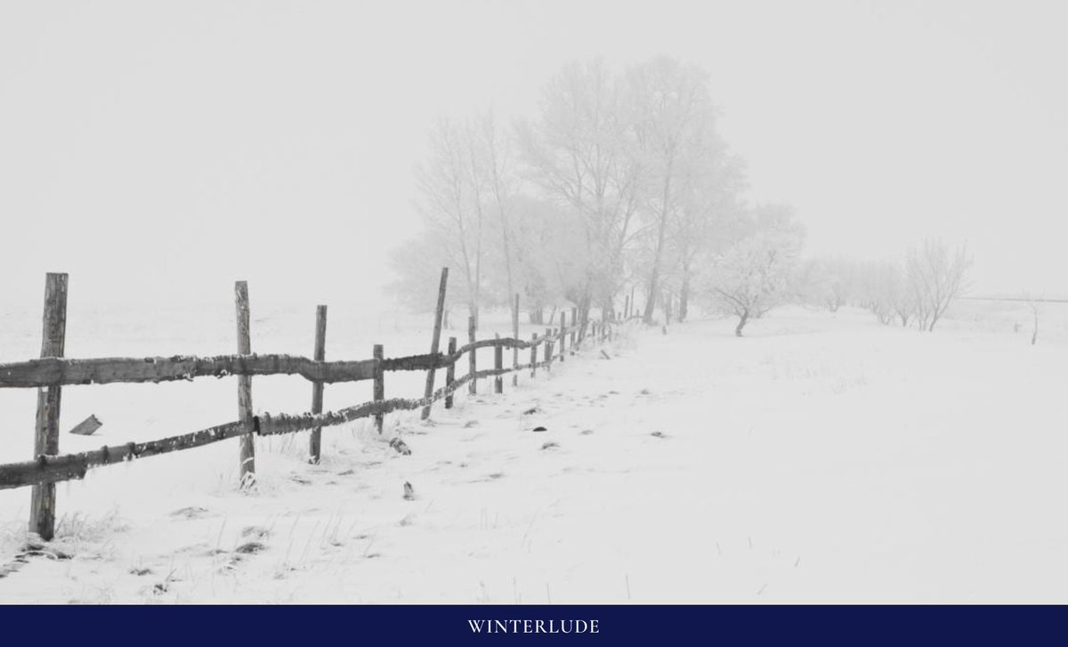 Garrison Institute tweet media