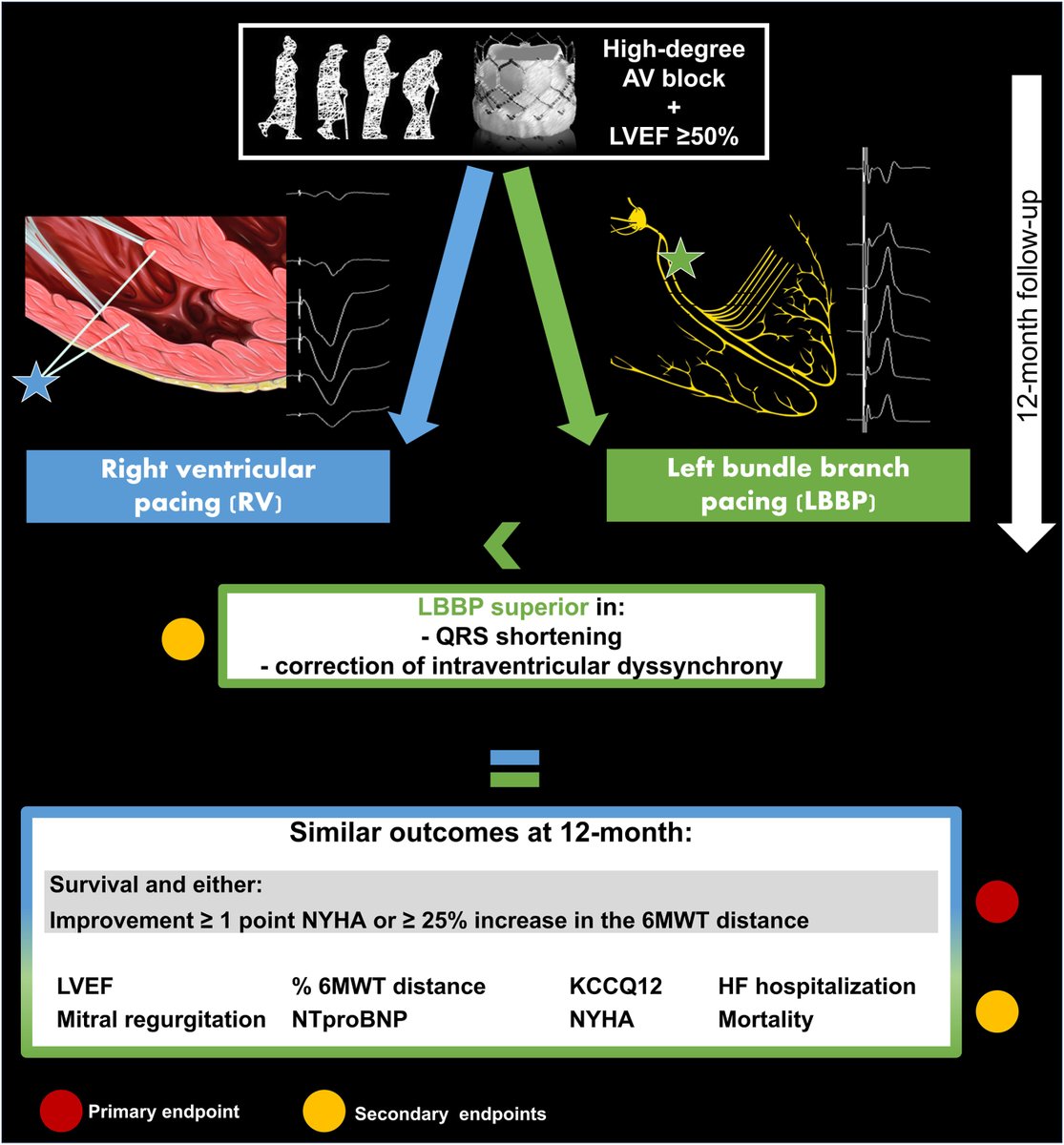CJC Journals tweet media