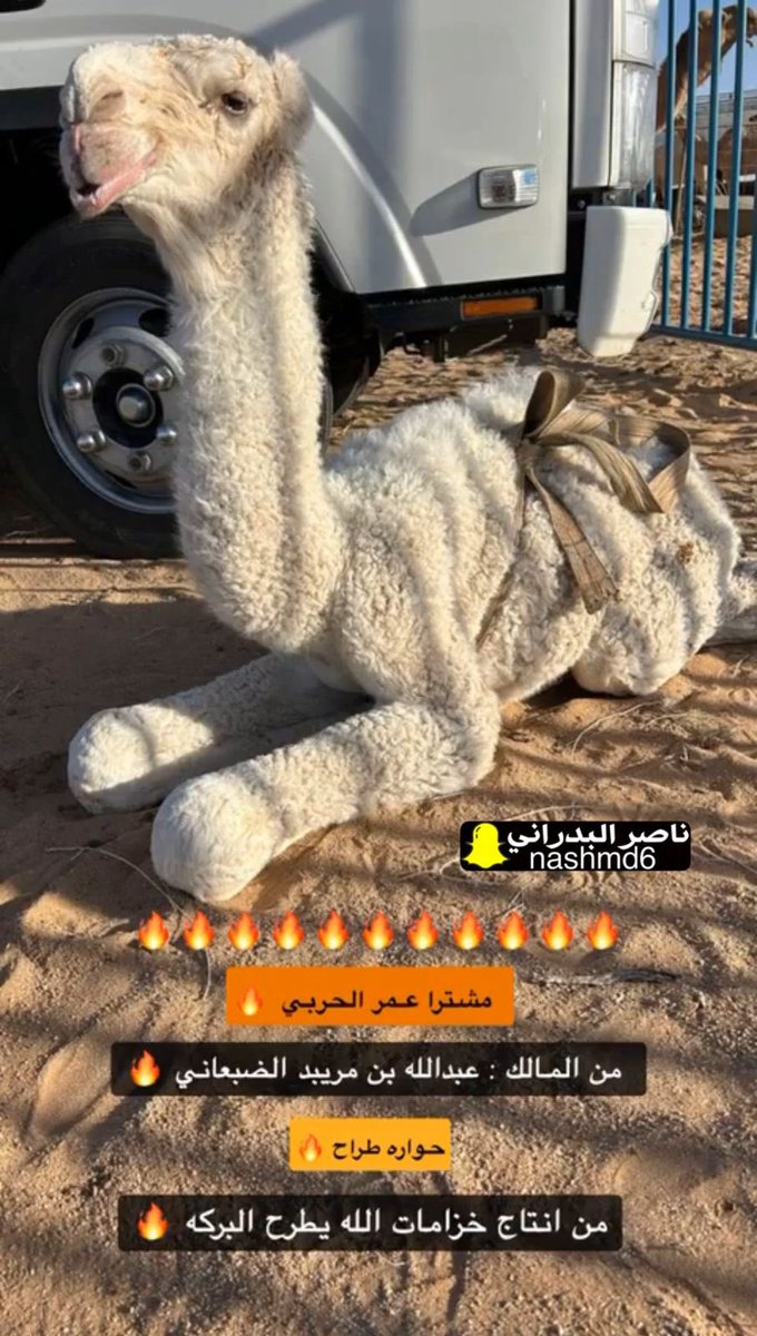 ناصر البدراني tweet media