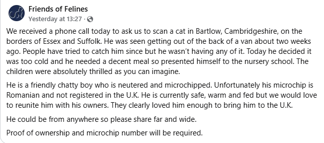 PDRescue's tweet photo. Cat seen getting out of a van so could be local to Bartlow #Cambs or could be from anywhere. Chipped but chip is Romanian. Please contact Friends of Felines direct if you are this handsome boy's servant:

https://t.co/Q6xuaGnLqi

@Cambslive @BBCCambs @MissingPetsGB @CatsMissing https://t.co/sKSlje3cEW