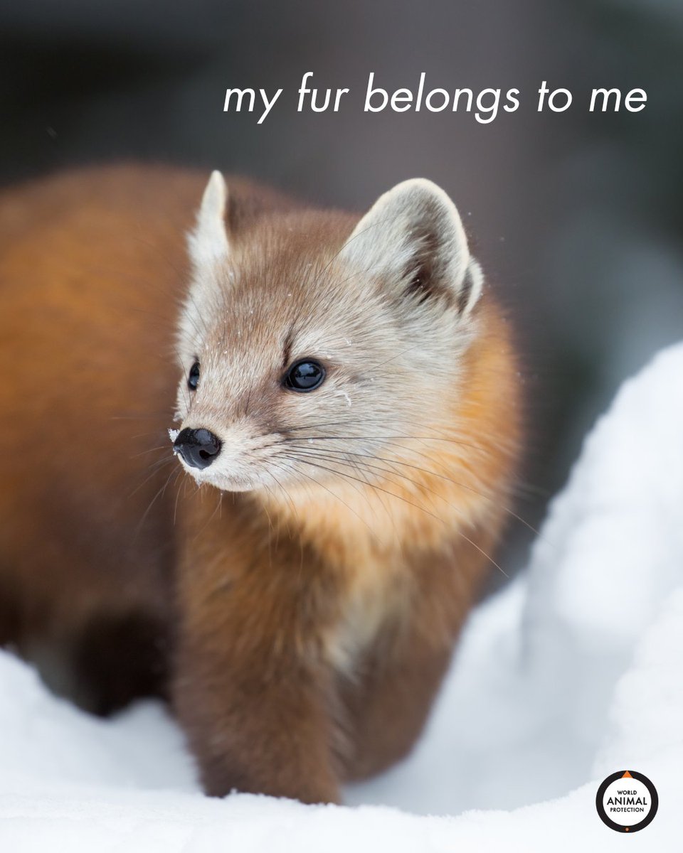 NORWEGIAN LANGUAGE EDITION - International Aquafeed - issue 5 - 2024 by  Perendale Publishers Ltd - Issuu, image size:960x1200