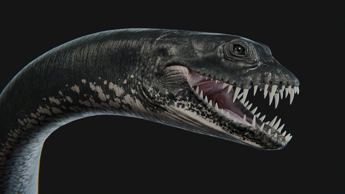 XtinctDesign tweet media