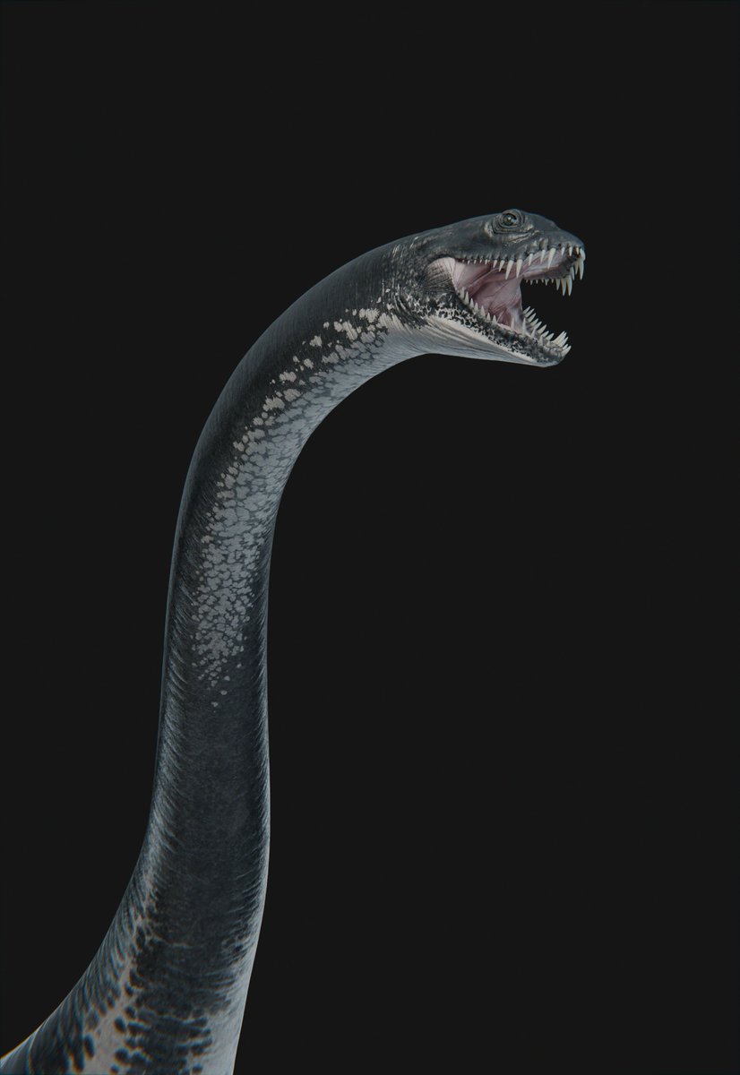 XtinctDesign tweet media