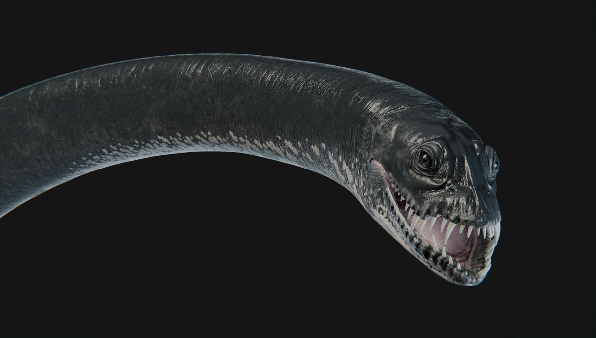 XtinctDesign tweet media