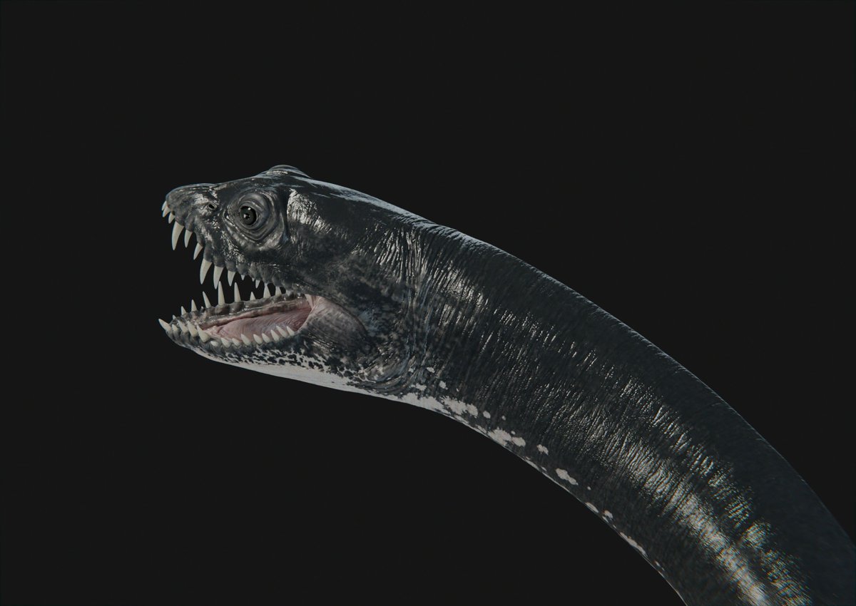 XtinctDesign tweet media