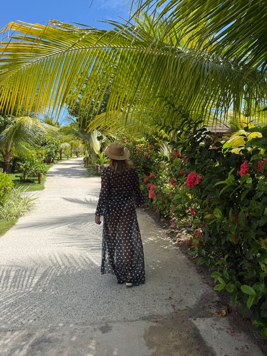 limaaa0's tweet image. Eu em casa e minha mãe passando o aniversário dela em carneiros aff