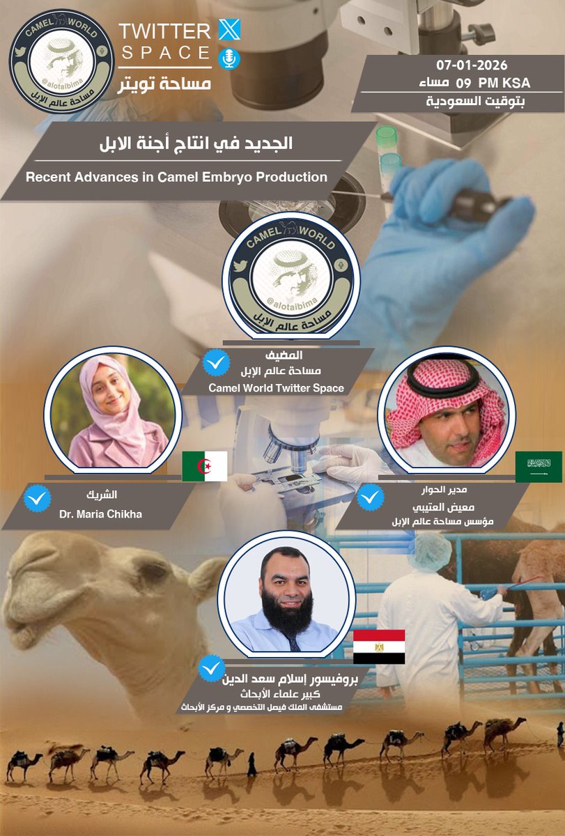 Dr Maria Chikha tweet media