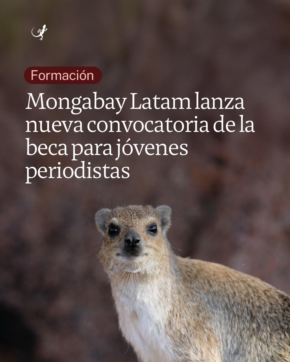 Mongabay Latam tweet media