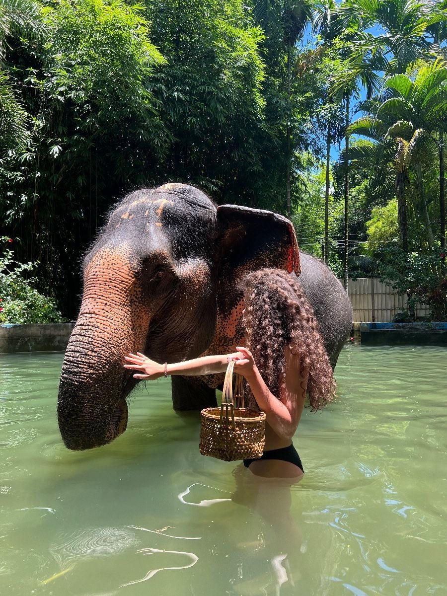 NATURE PORN ☘️ tweet media