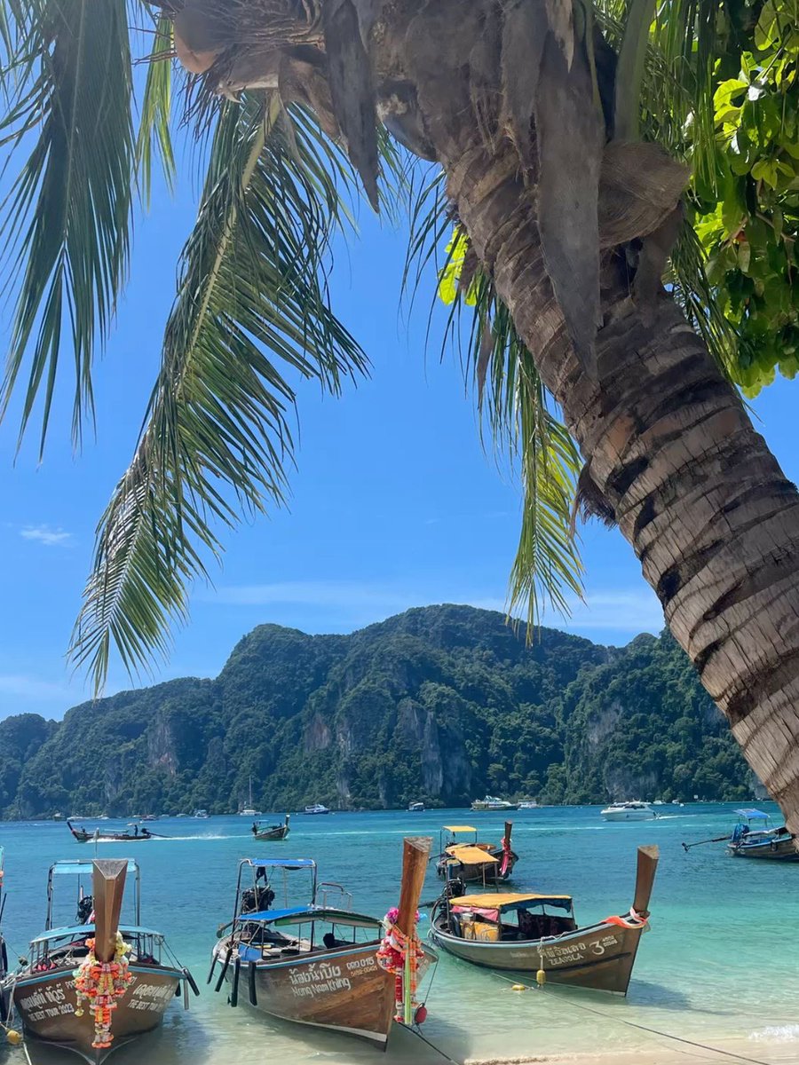 NATURE PORN ☘️ tweet media