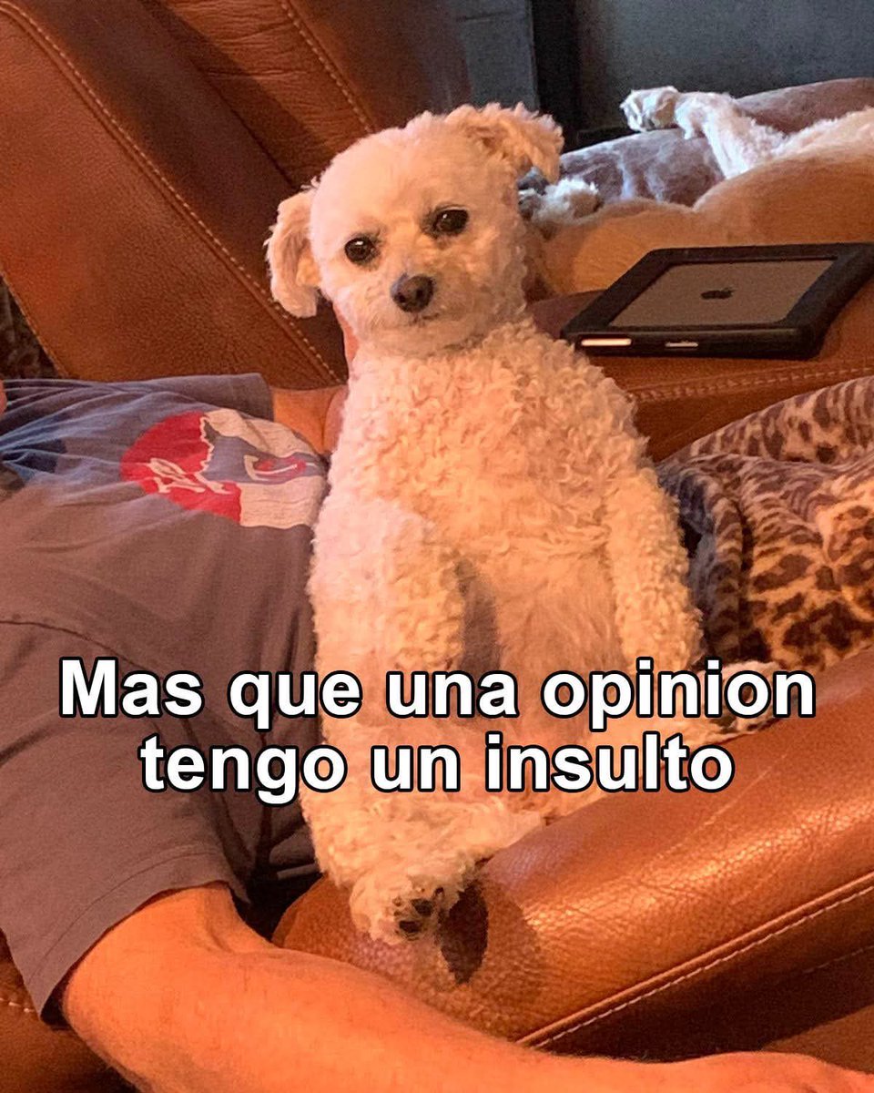 trcherxus's tweet image. 