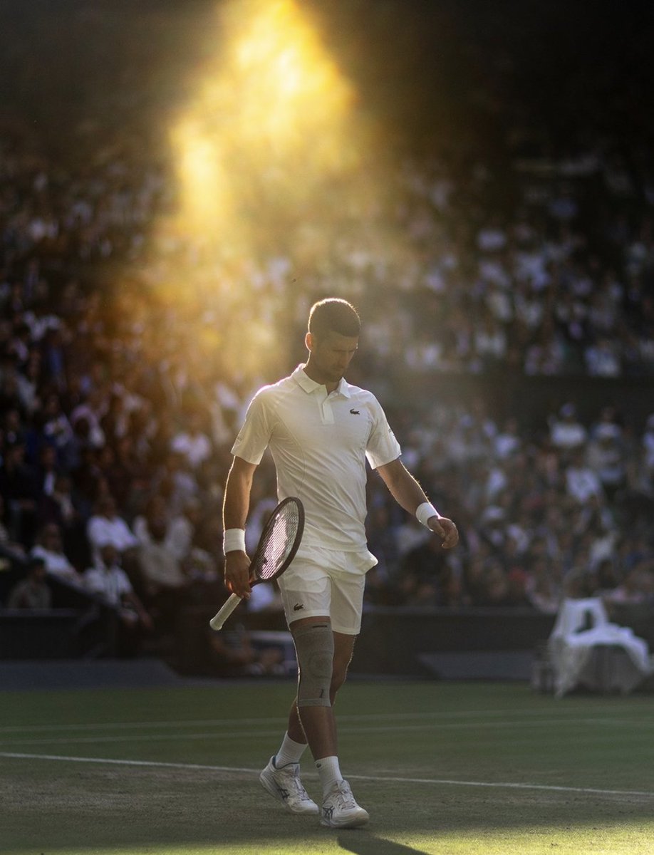 DjokovicFan_'s tweet photo. This Novak Djokovic picture is iconic. https://t.co/MQjzFzWkhB