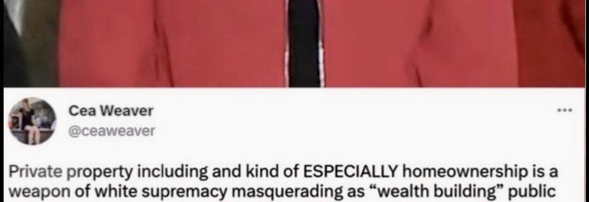 katie wright tweet media