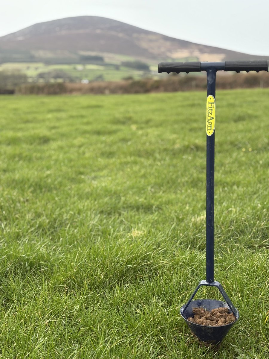Soil sampling with a view of the Blackstairs Mountains! #soilhealth #cooneyfurlonggrain