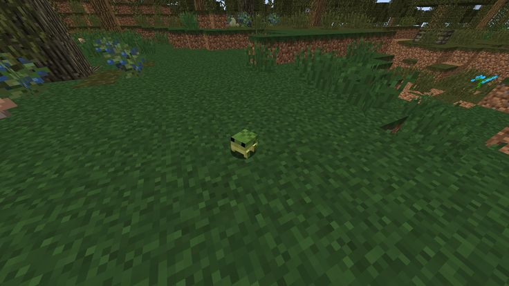 No Context Frogs tweet media