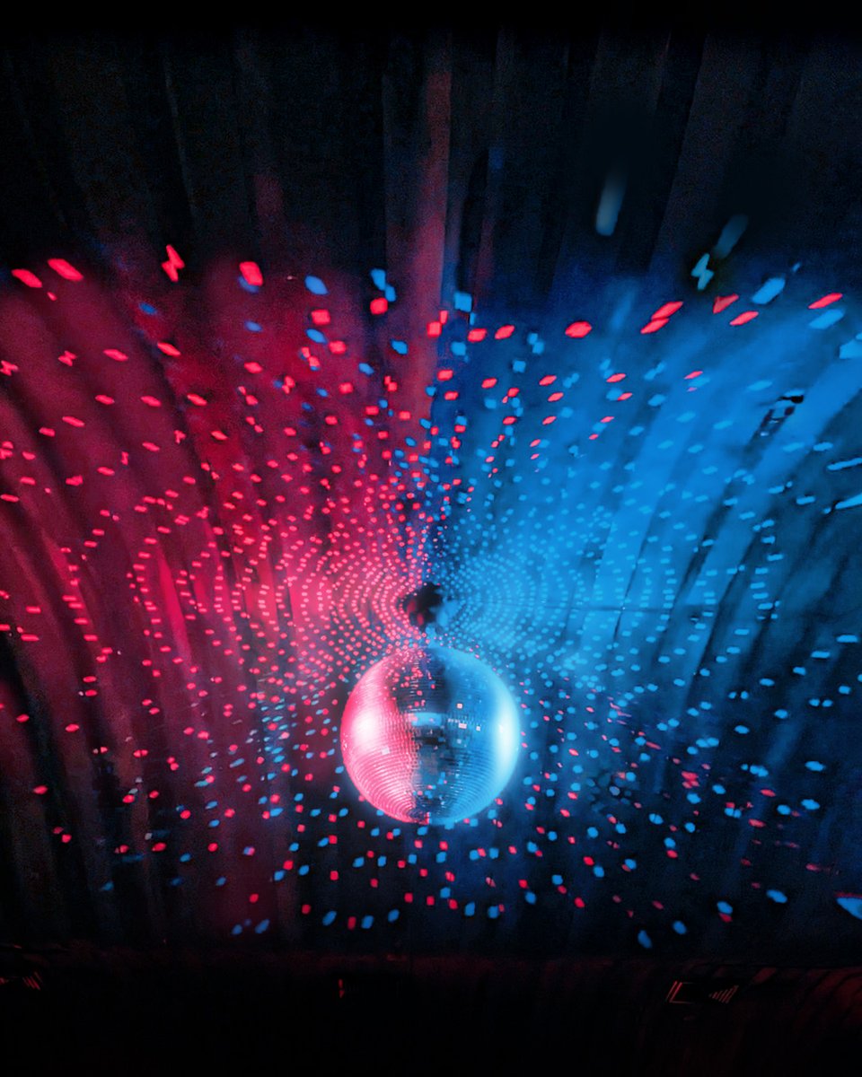 Tom Windeknecht 📷 tweet media