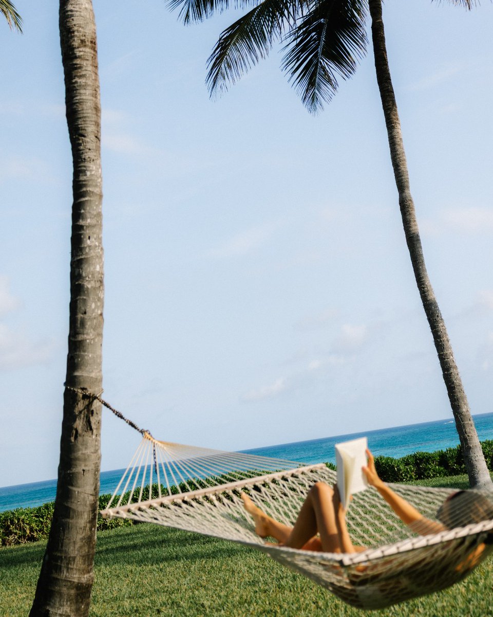 FSOceanClub's tweet image. Awaken to waves lapping, palms swaying, and the calm of paradise. Discover resort packages, luxury accommodations, and experiences that promise an extraordinary stay. 

Visit the link to learn more: bit.ly/43evN6F.

#FSOceanClub #FourSeasons #VisitNPI