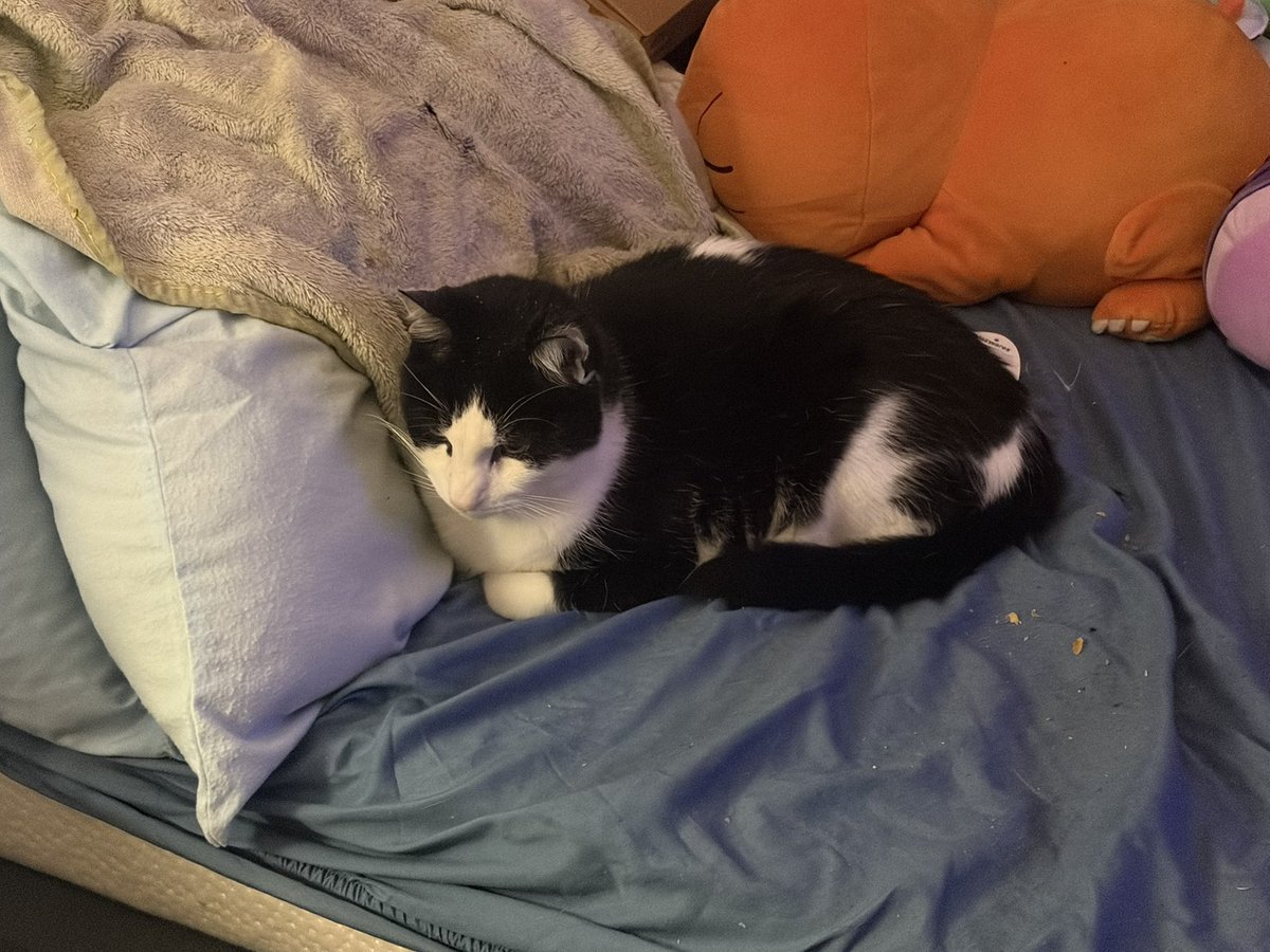 Yaoi boy (@jestocratic) on Twitter photo 