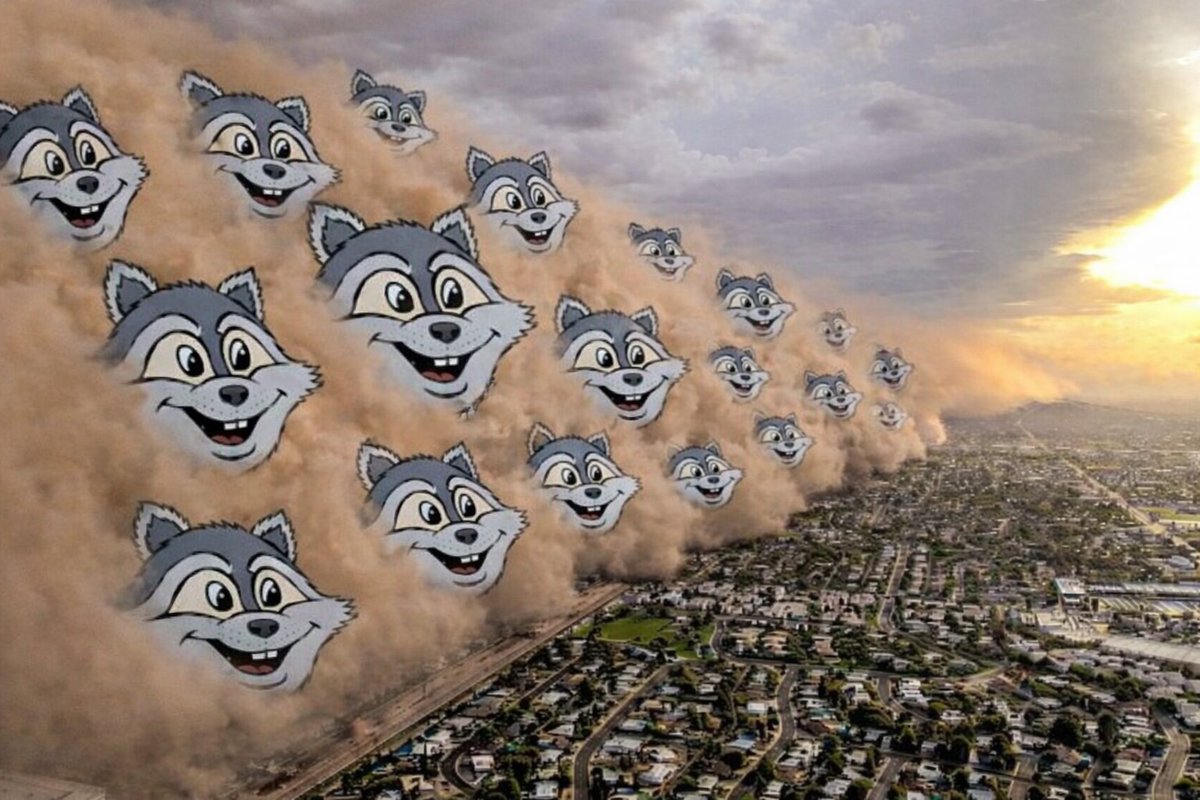 <a href="/nizacoin/">Niza.io Exchange</a> $wabuu <a href="/WabuuRaccoon/">Wabuu</a> 
strong narative with strong community