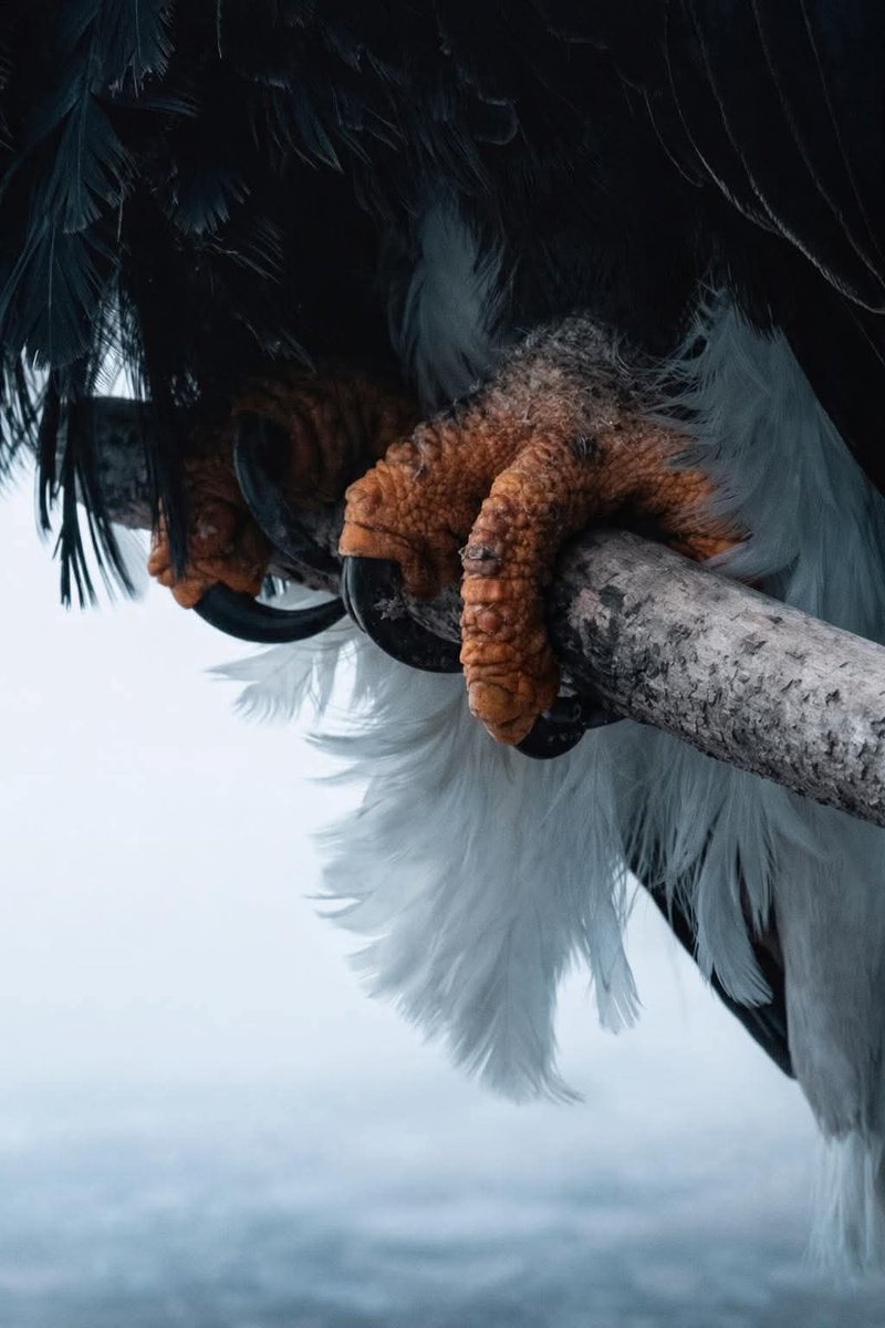 لأنك شديد الصبر، ظنوا أنك لا تشعر..🖤