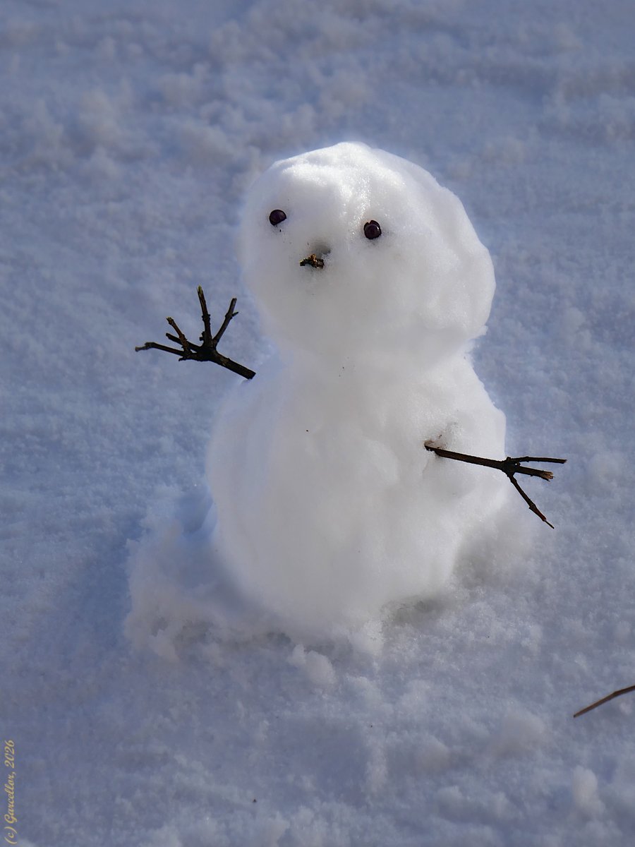 Lo que dio de sí Francis

Madrid, España. Enero de 2026.  

#garcellor #coloresdeinvierno #montecarmelo #nieve #muñecodenieve #borrascafrancis