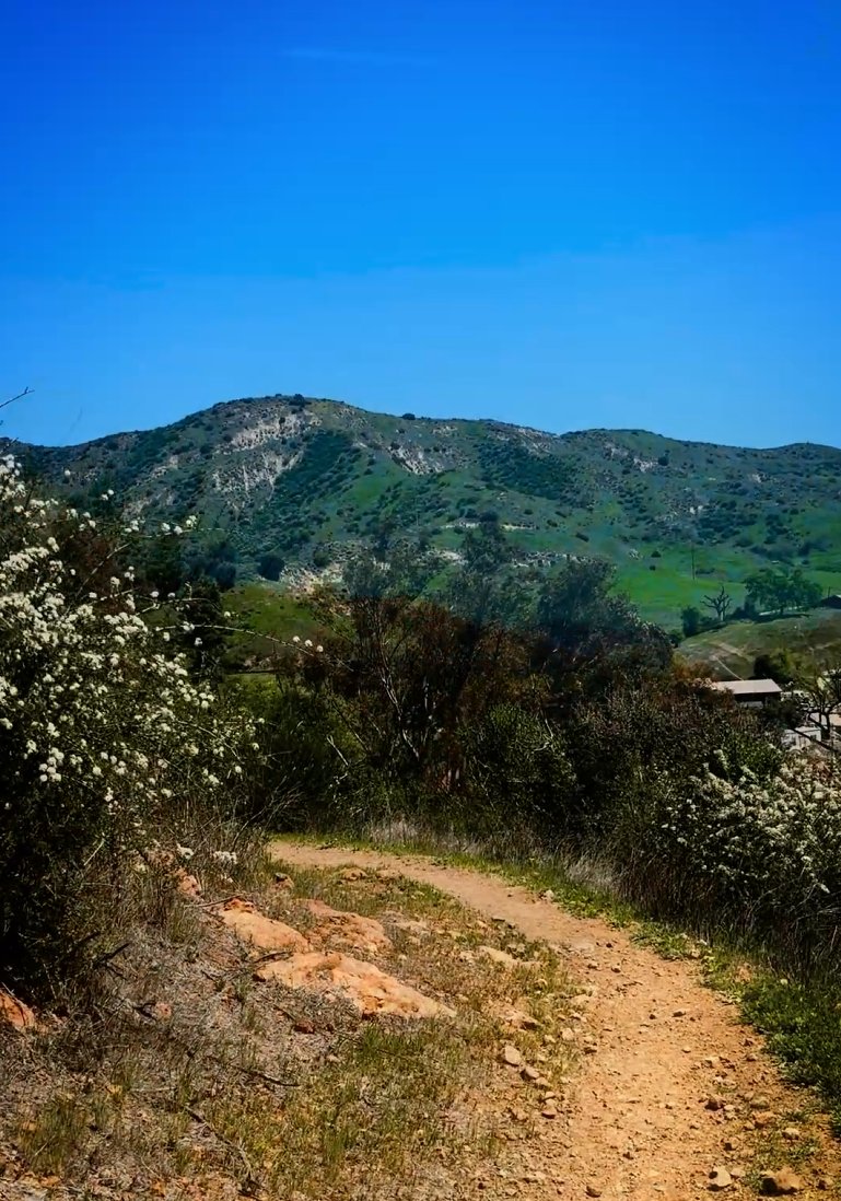 Santa Monica Mt Fund tweet media