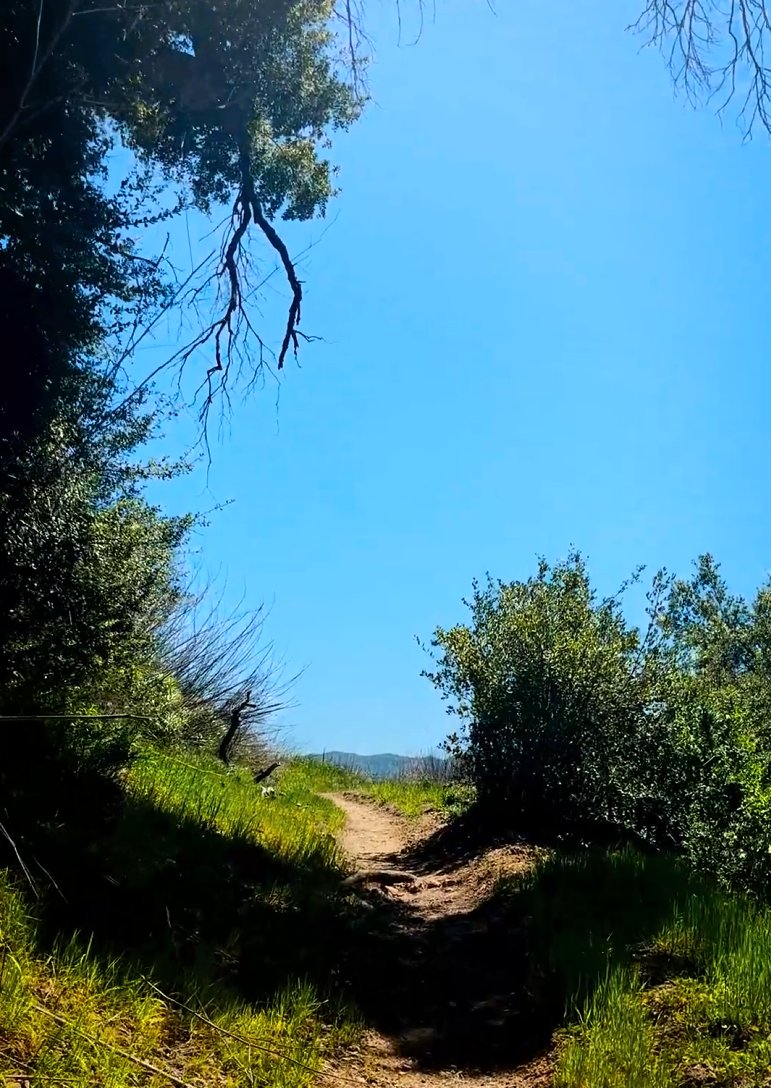 Santa Monica Mt Fund tweet media