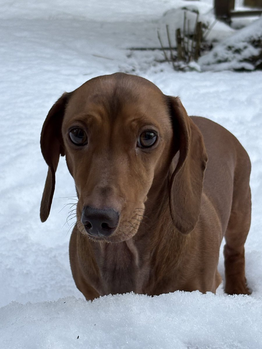 Adele & Andy tweet media