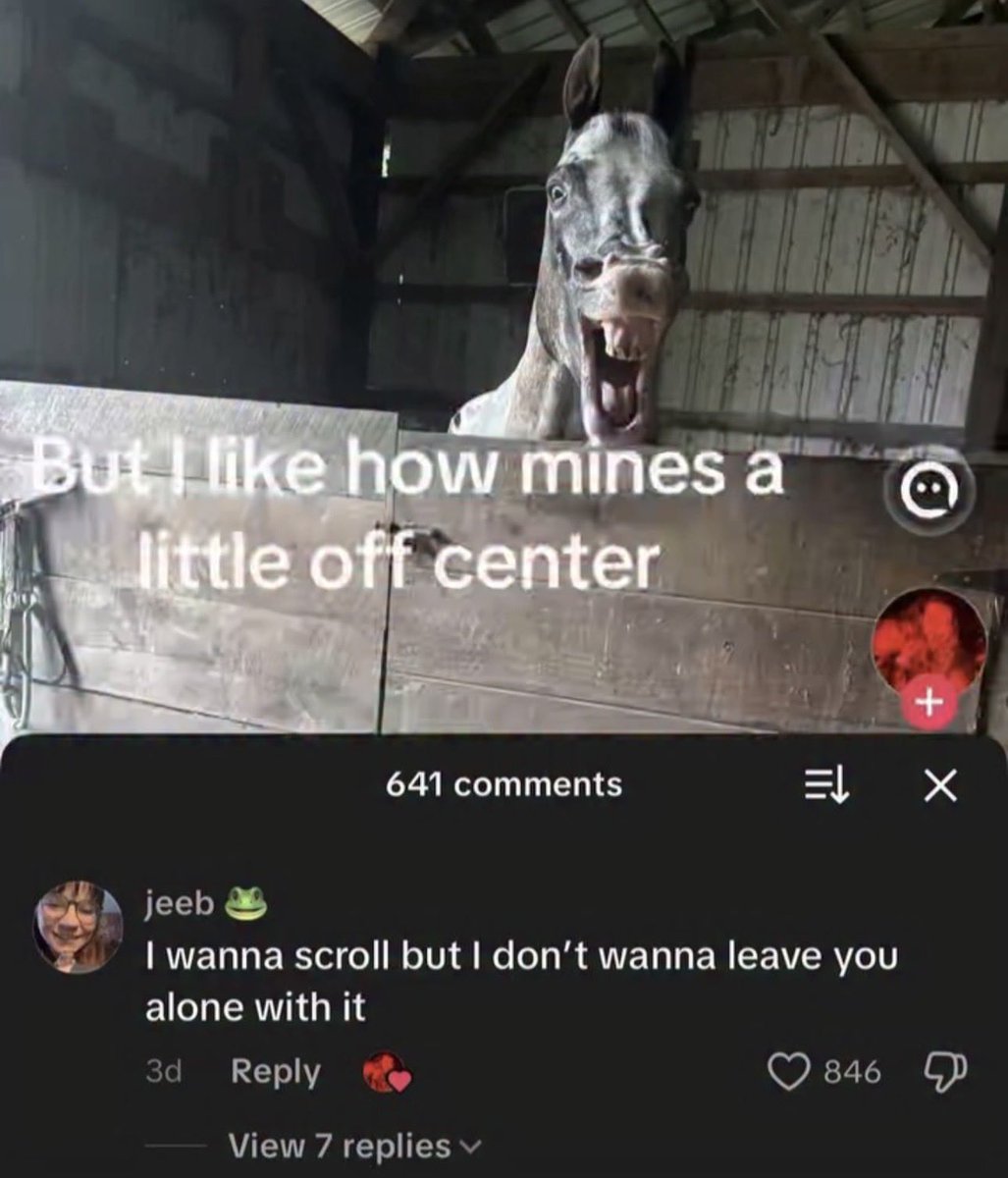 WildSentences's tweet image. 