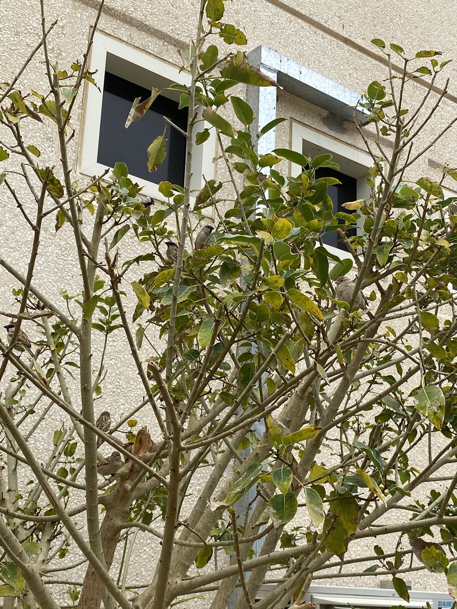 Vellichoric (@warmdriftt) on Twitter photo 