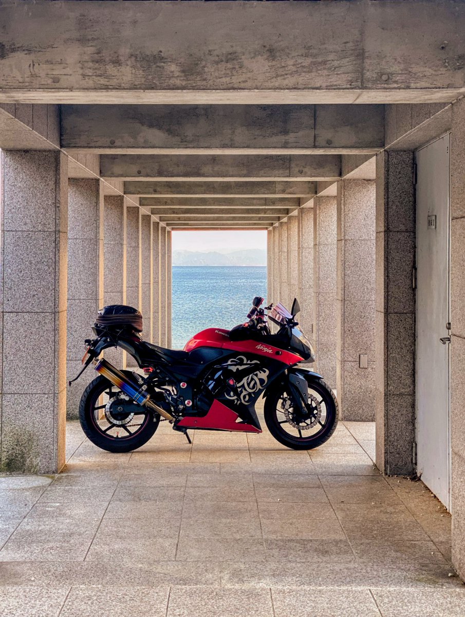 mimiページ mimi( ◔︎㉦◔︎ ) (@mimi_mimi250) / Posts / X