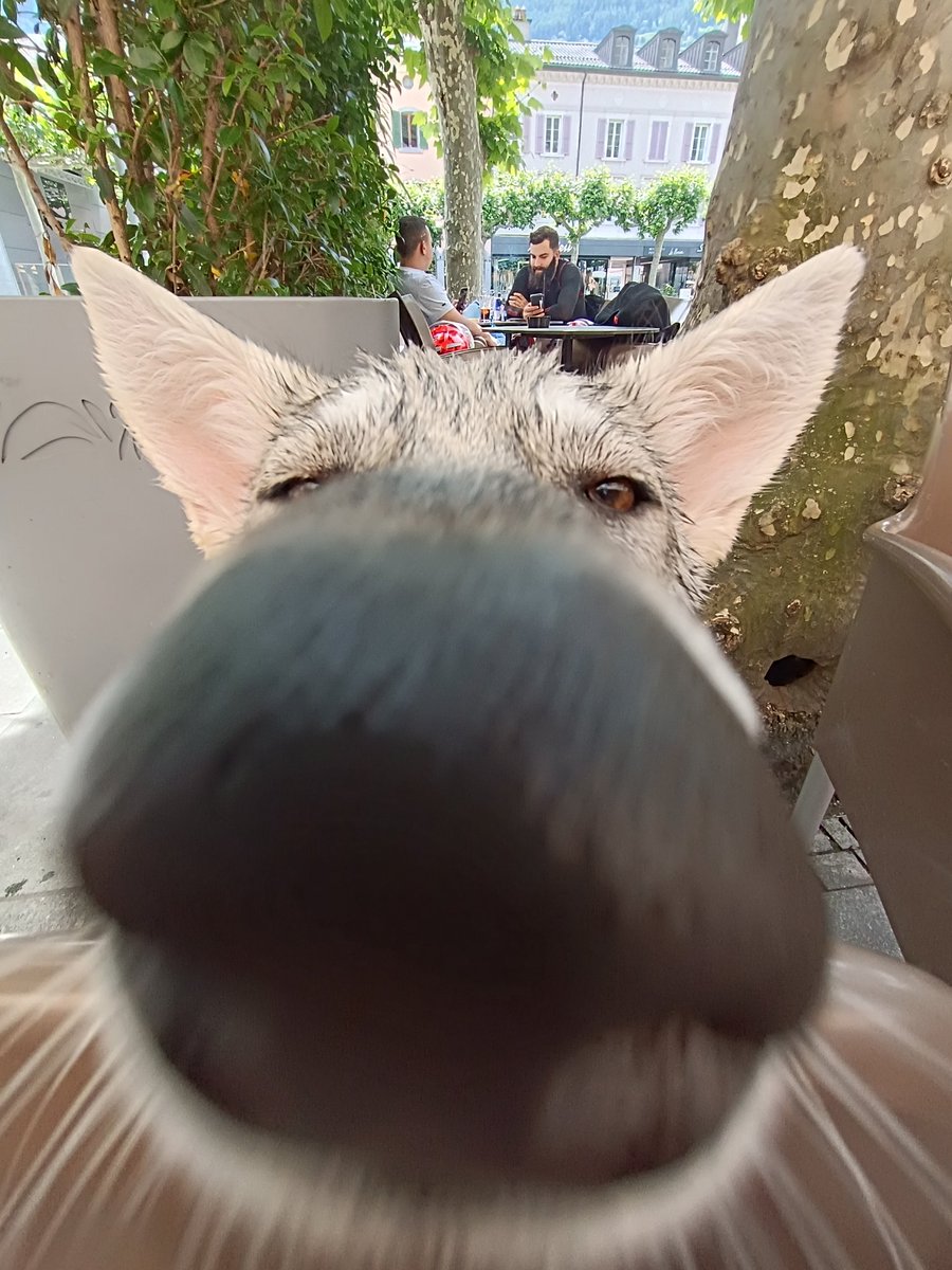 … got games on your phone?