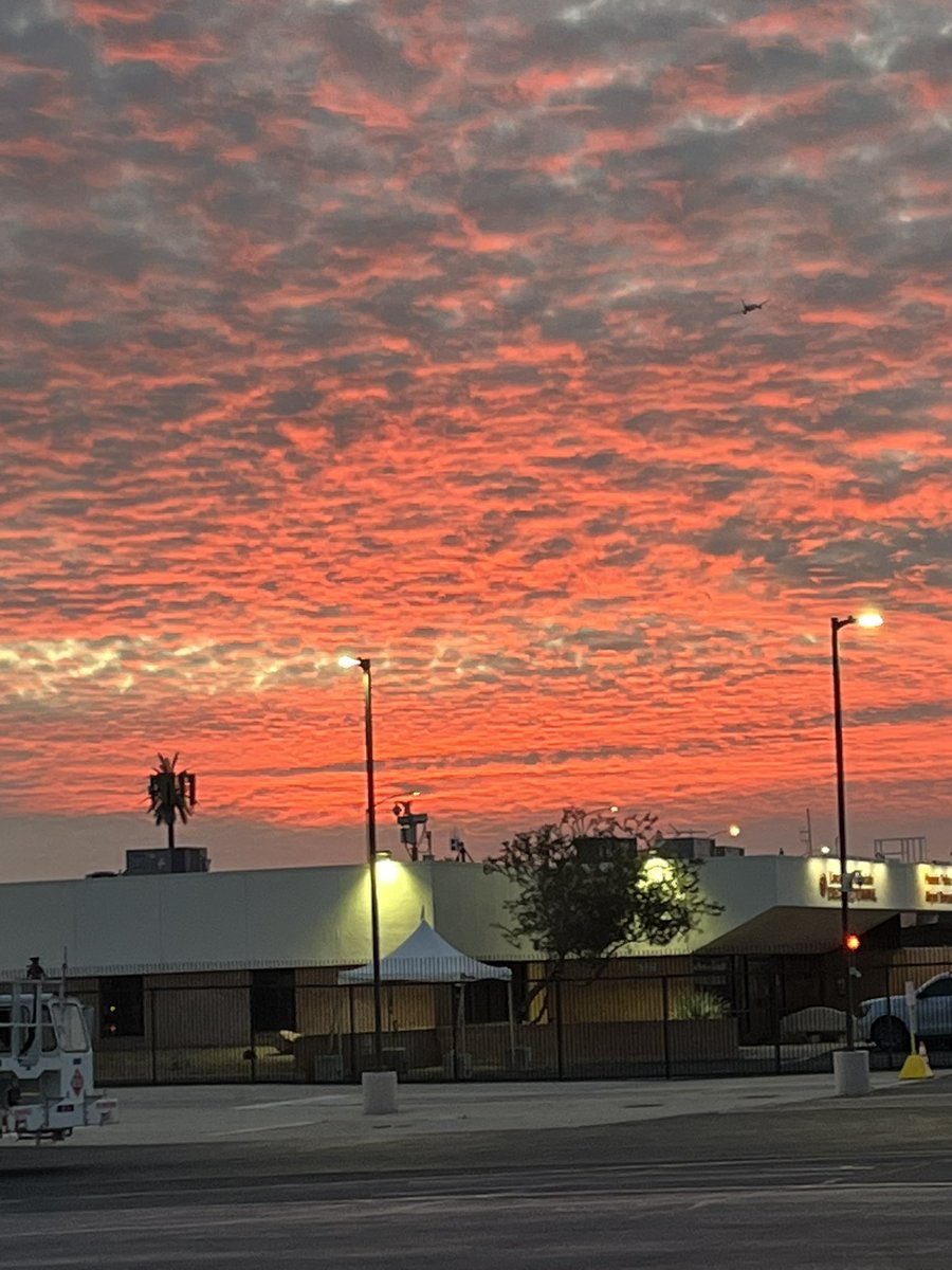 Mystery of MC tweet media