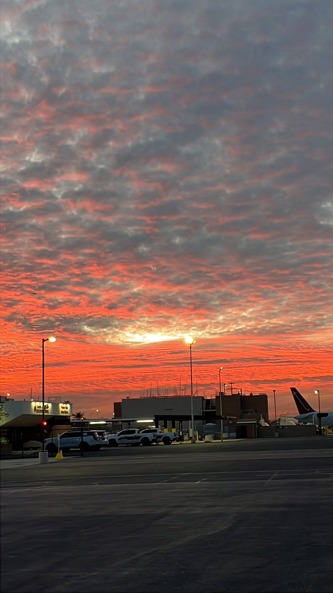 Mystery of MC tweet media