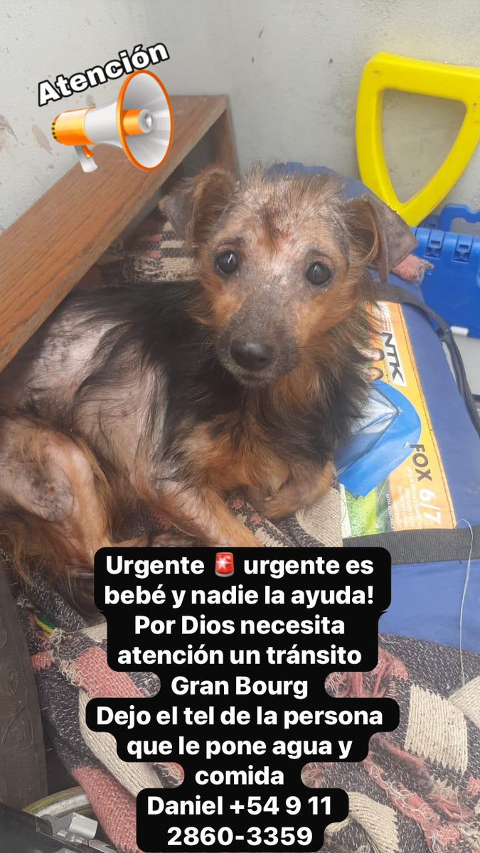 Difundimos 
Rt