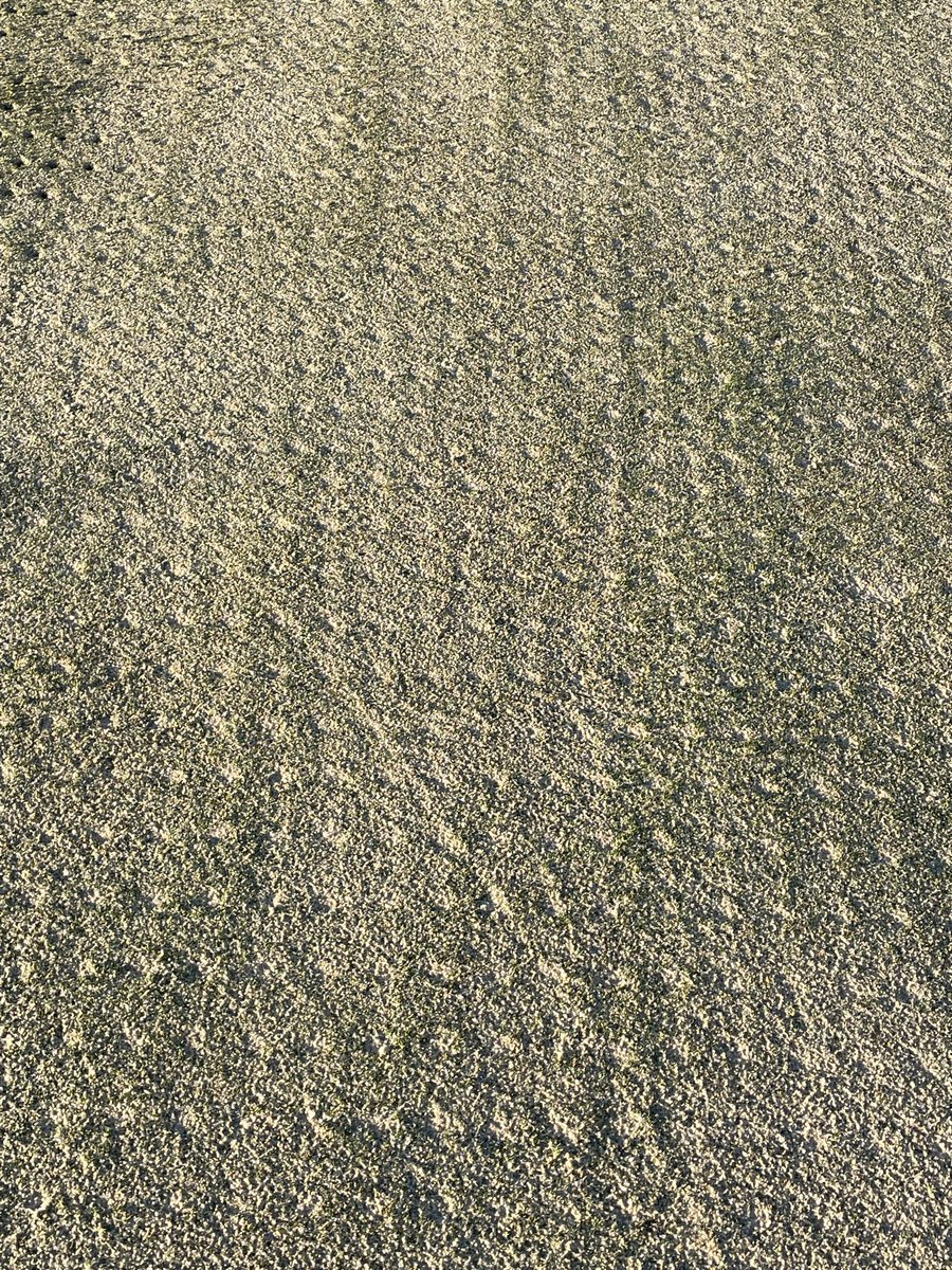 Ericferrell tweet media