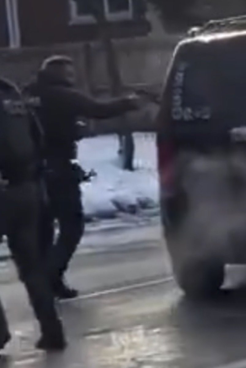 Here's where the ICE agent was when he shot an American citizen.

This was not self defense. This was murder.