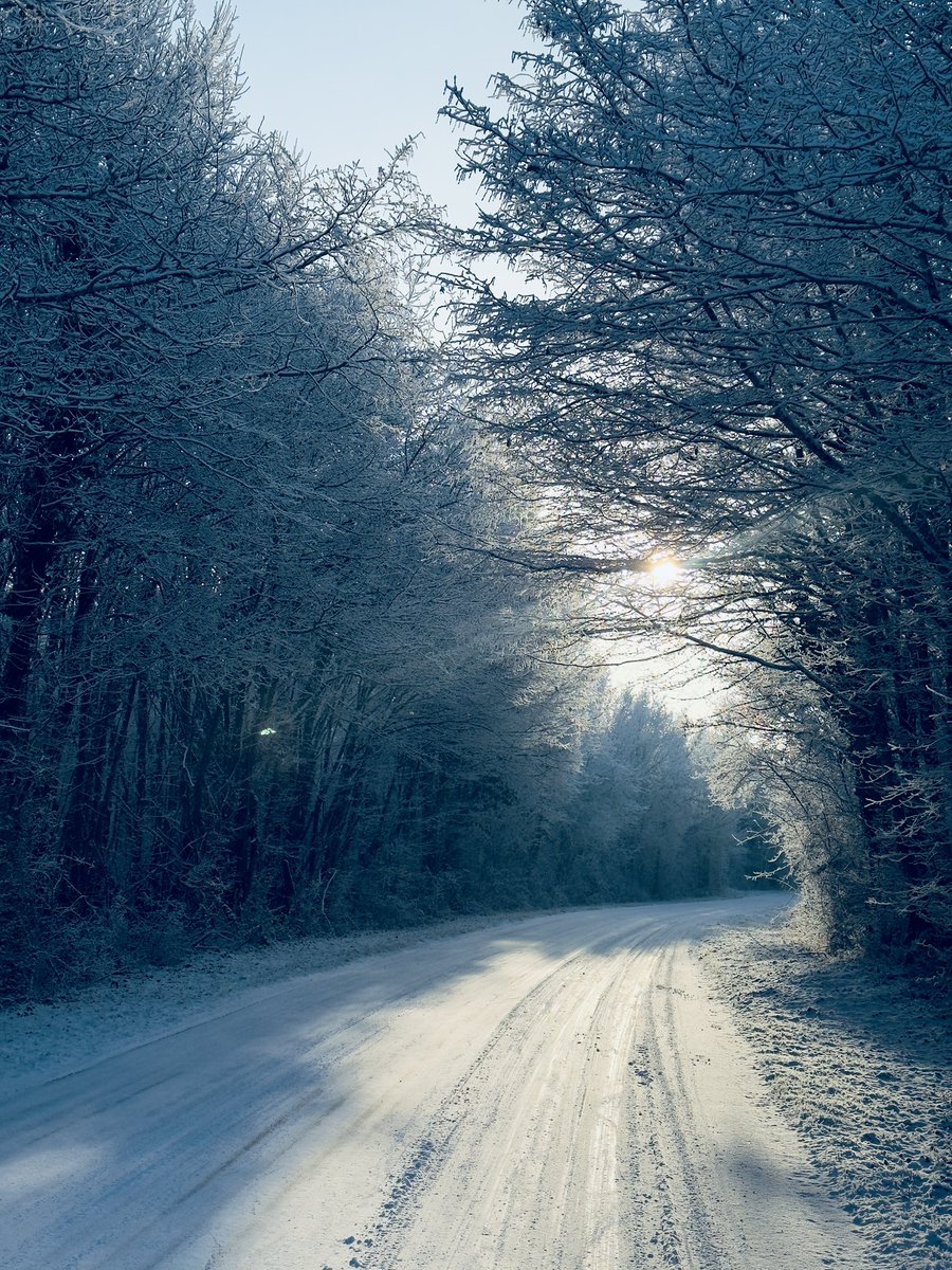 Hakeo🌊 tweet media