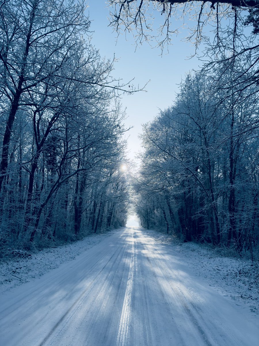 Hakeo🌊 tweet media