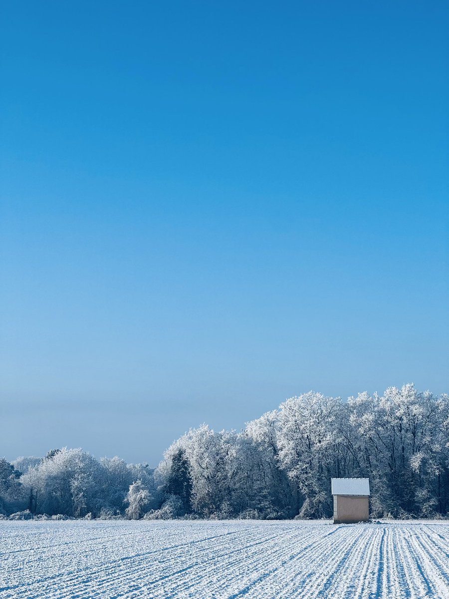 Hakeo🌊 tweet media