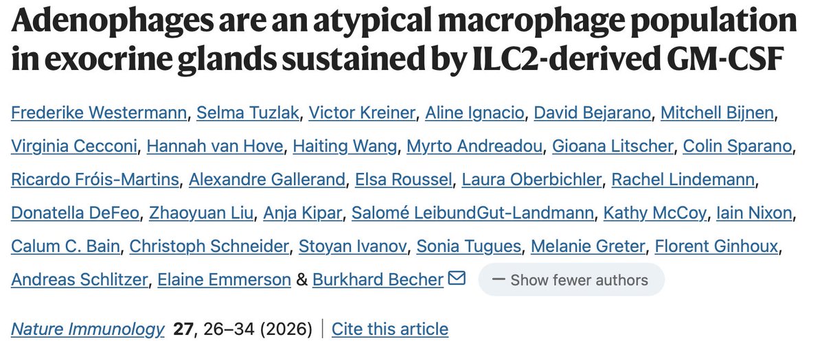 Ivanov lab tweet media