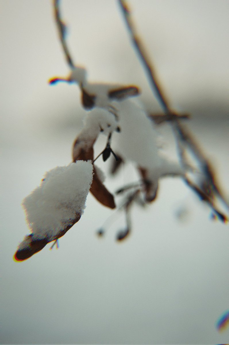 jens_scheider's tweet photo. Amazing #wintervibes... das Jahr beginnt frostig.... und verschneit. #scheiderfoto #photography #winter https://t.co/6YuXwcIskN