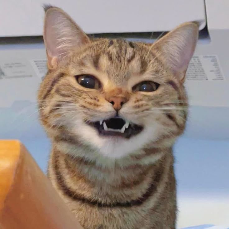 heejuist's tweet image. #parknuri #박누리