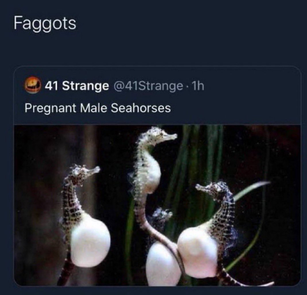 DistressDark's tweet image. 