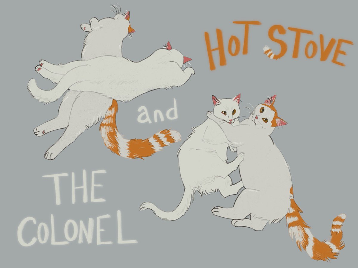 The 2 babies that my bf adopted after his coworker found them in a ditch !