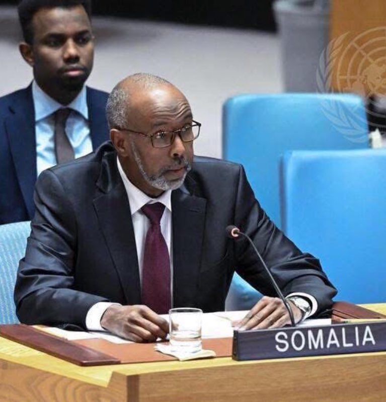 libsoftiktok's tweet image. BREAKING: Somalia’s Ambassador to the UN just DELETED his Linkedin after HHS confirmed my reporting that he was involved in a taxpayer funded healthcare company convicted of Medicaid fraud.

What else is he hiding??

Don’t worry, I have all the receipts!