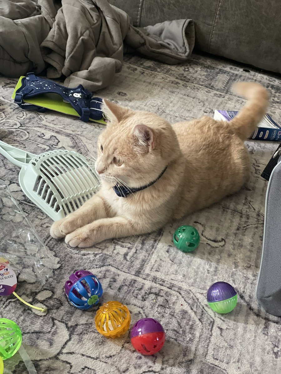 I would like everyone to meet my daughter… Name to be decided