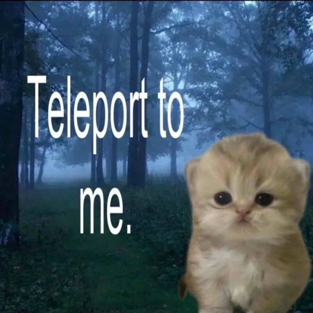 softheavens's tweet image. 