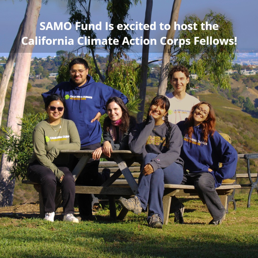 Santa Monica Mt Fund tweet media